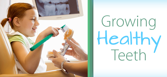 Growing Healthy Teeth